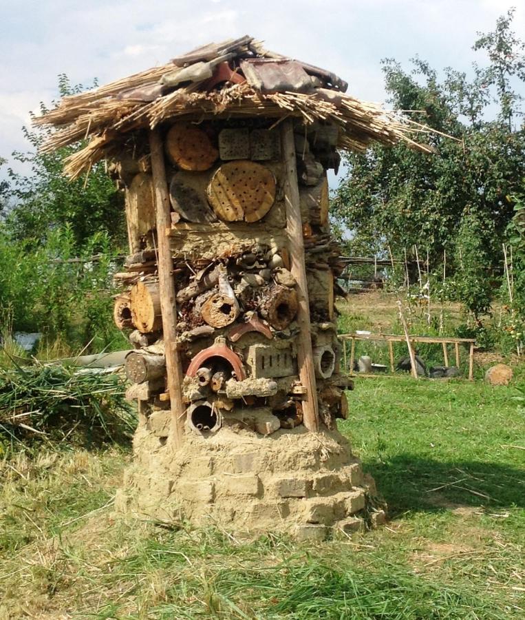 Biohof Am Turawa-See Szczedrzyk 외부 사진