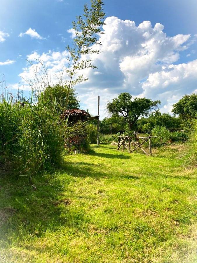 Biohof Am Turawa-See Szczedrzyk 외부 사진
