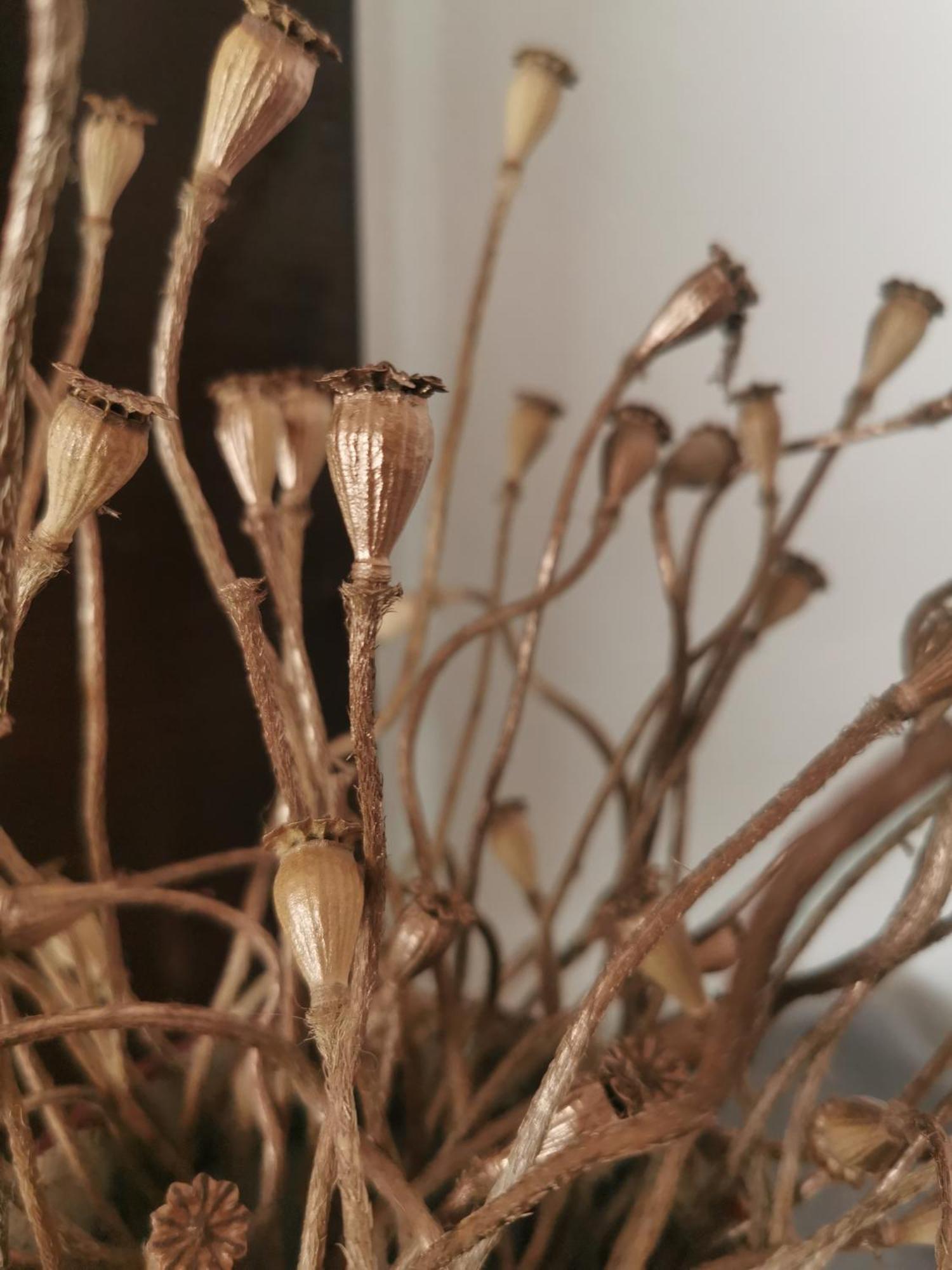 Biohof Am Turawa-See Szczedrzyk 외부 사진